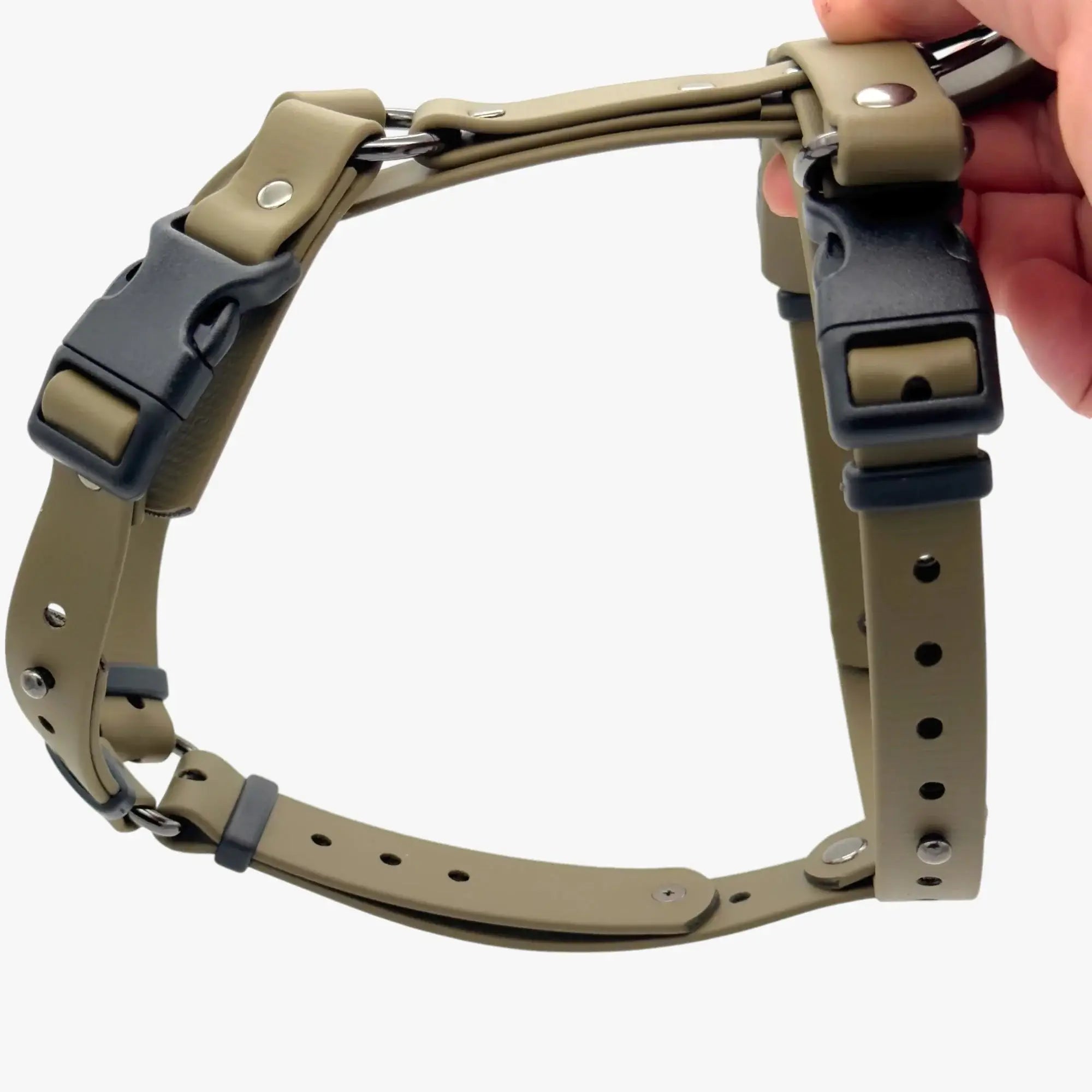 Canine Quest — Biothane Dog Harnesses with an Anatomical Design