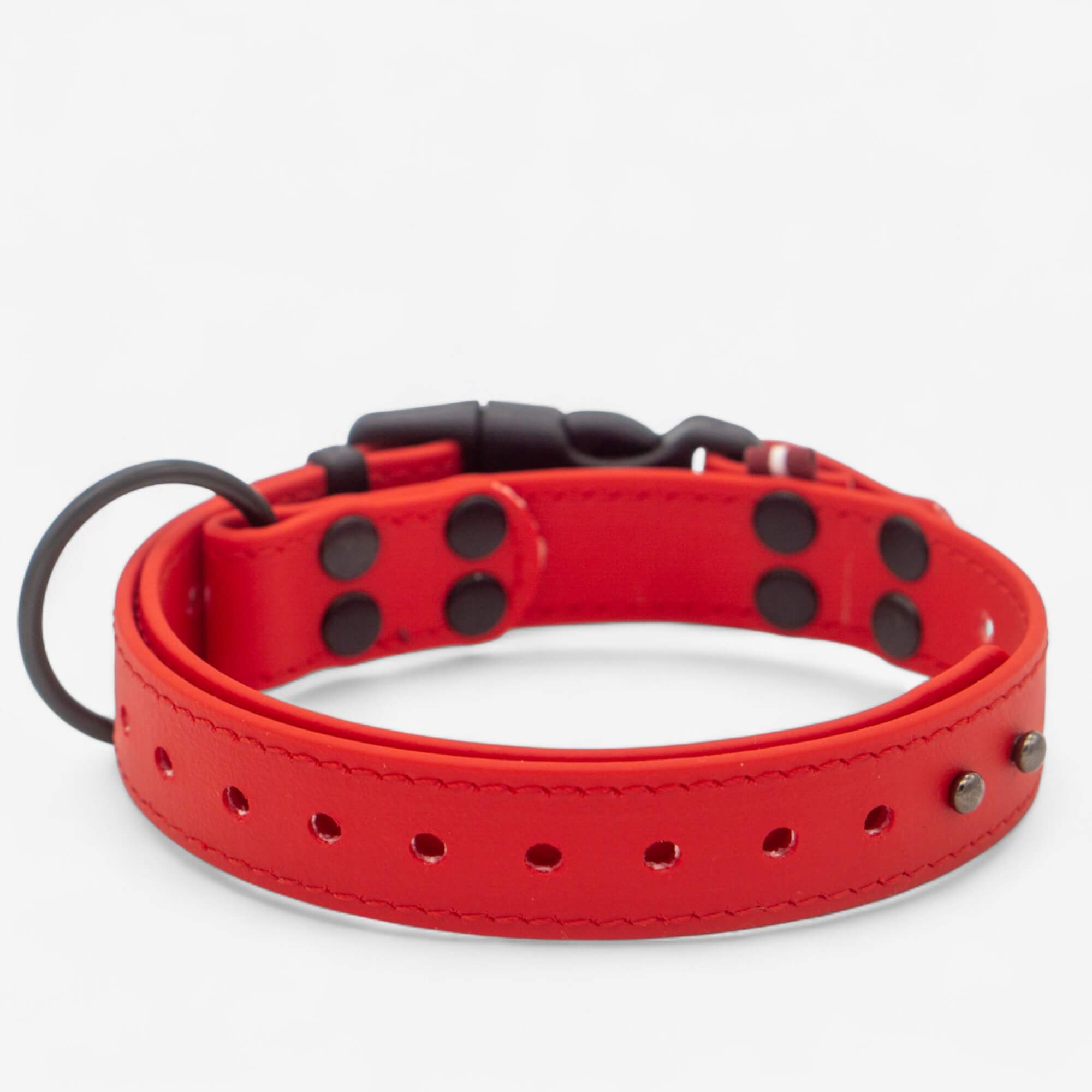 Biothane kakla siksna suņiem