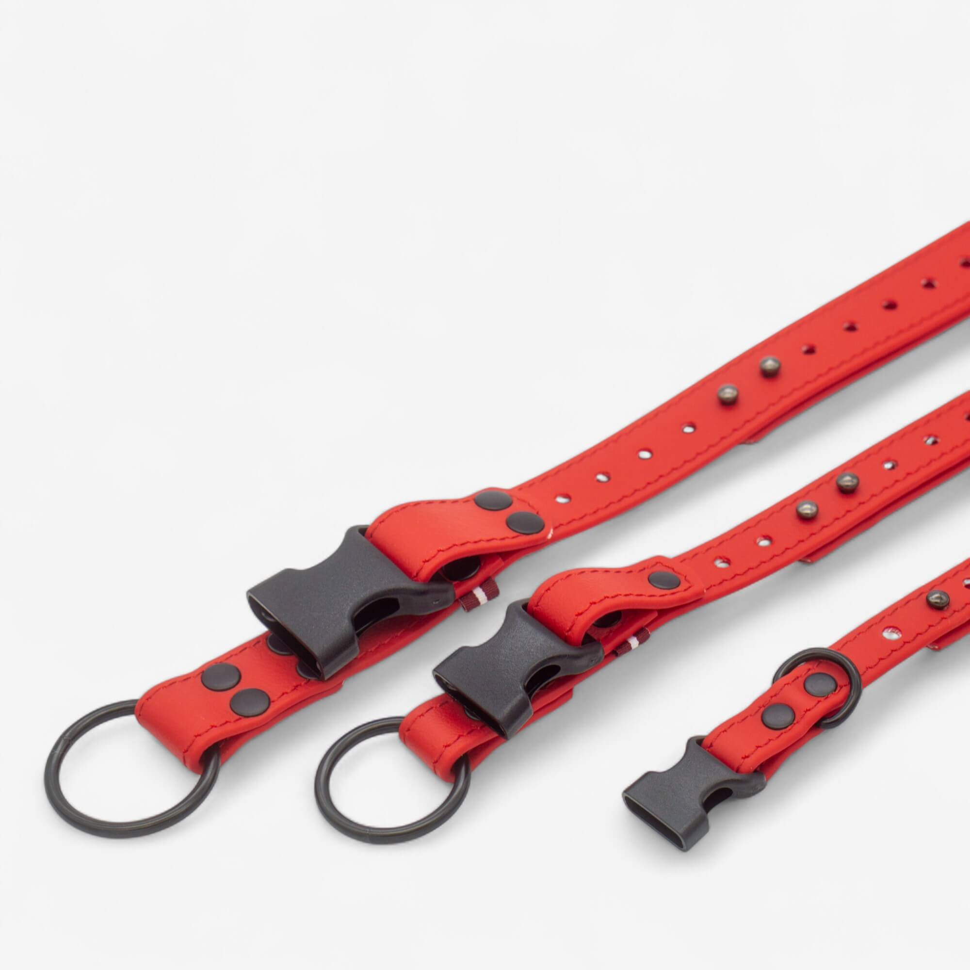 Biothane kakla siksna suņiem