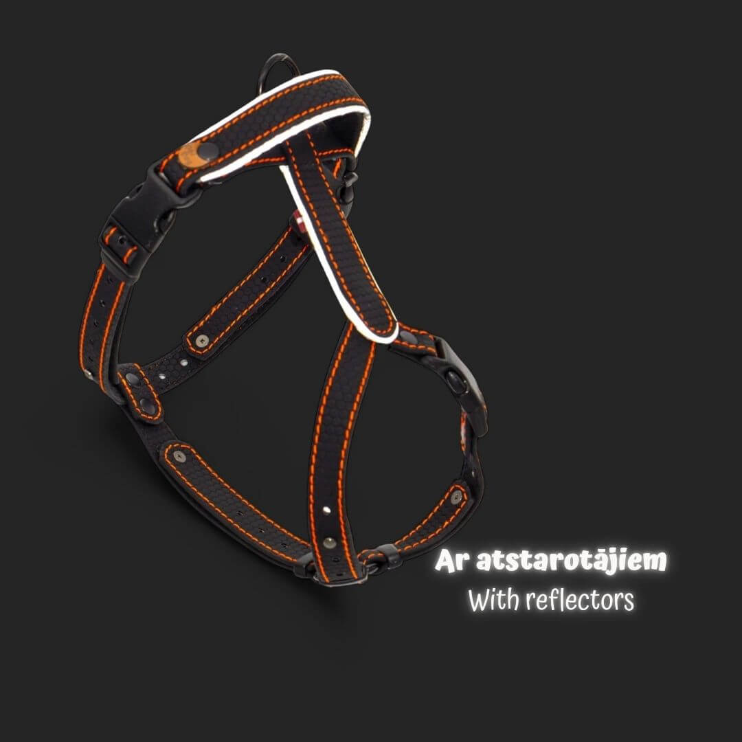 EasyFit koerarakmed – Kerged, helkuritega ja mugavad