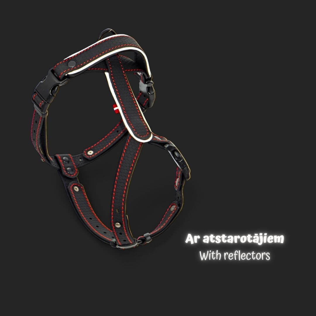 EasyFit koerarakmed – Kerged, helkuritega ja mugavad