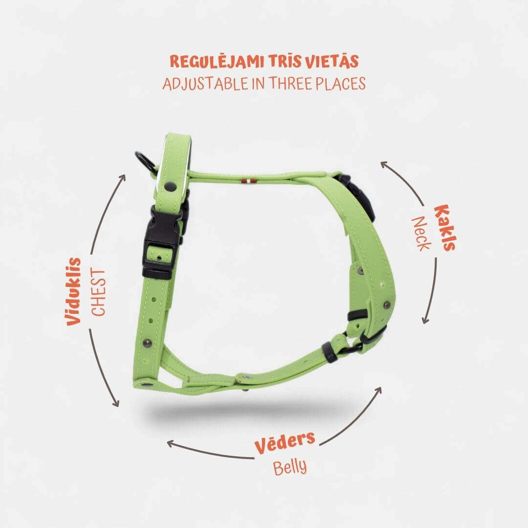 EasyFit Anatoomilised ja Veekindlad Rakmed koertele - Salatiroheline