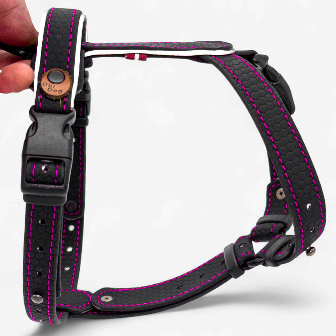 EasyFit koerarakmed – Kerged, helkuritega ja mugavad