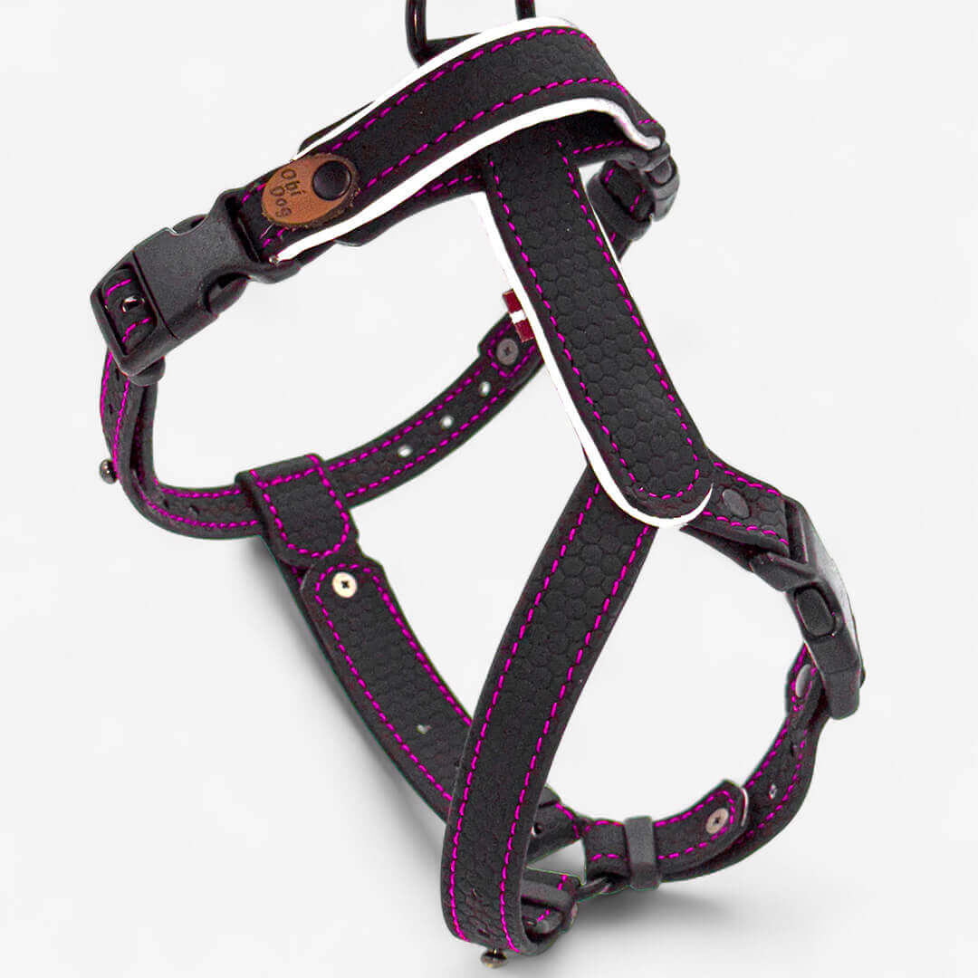 EasyFit koerarakmed – Kerged, helkuritega ja mugavad