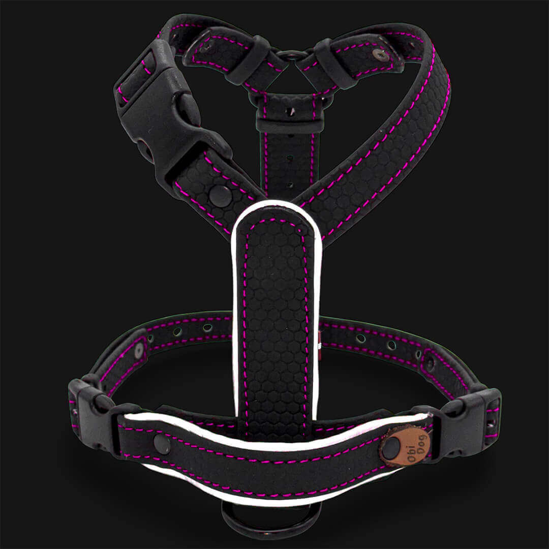 EasyFit koerarakmed – Kerged, helkuritega ja mugavad