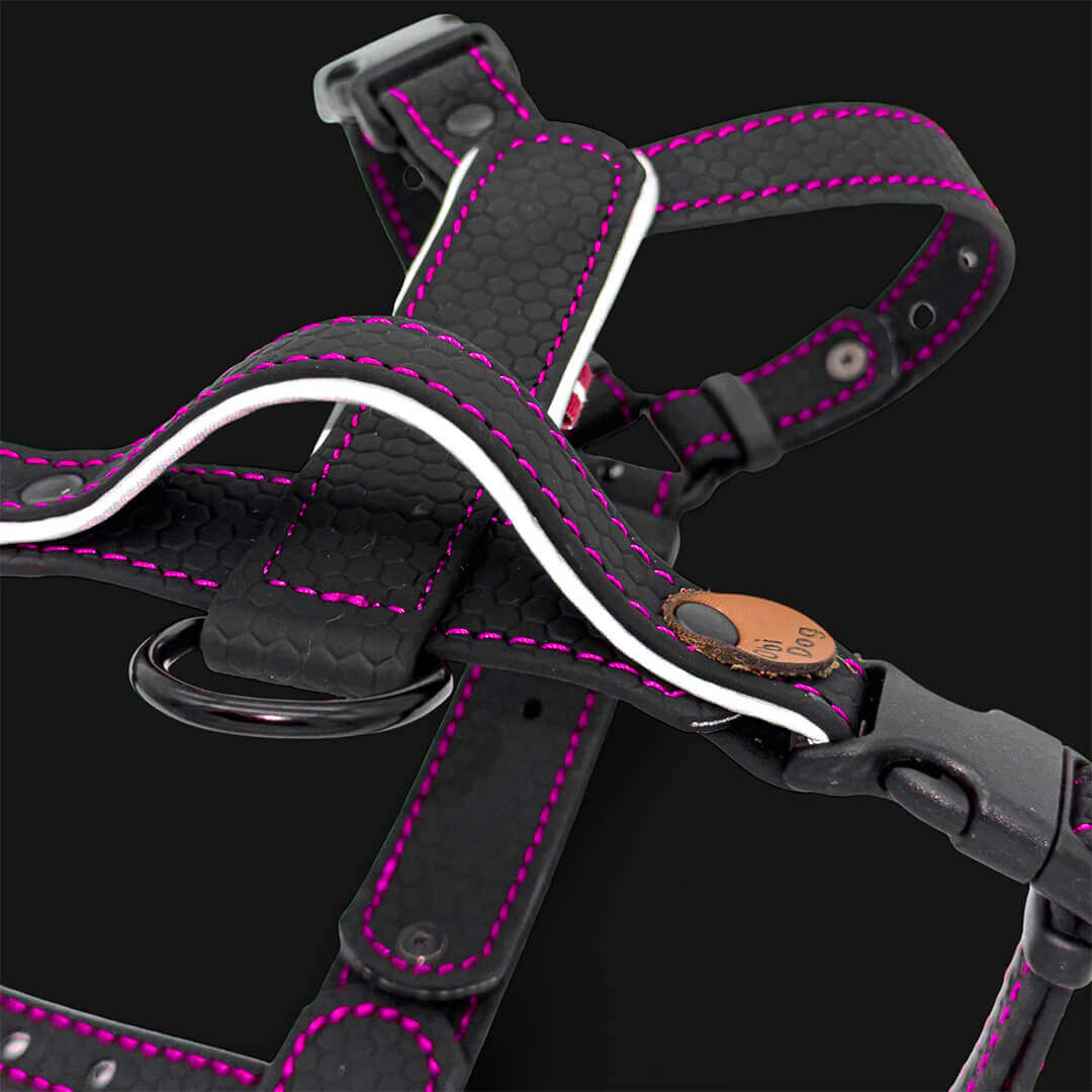 EasyFit koerarakmed – Kerged, helkuritega ja mugavad