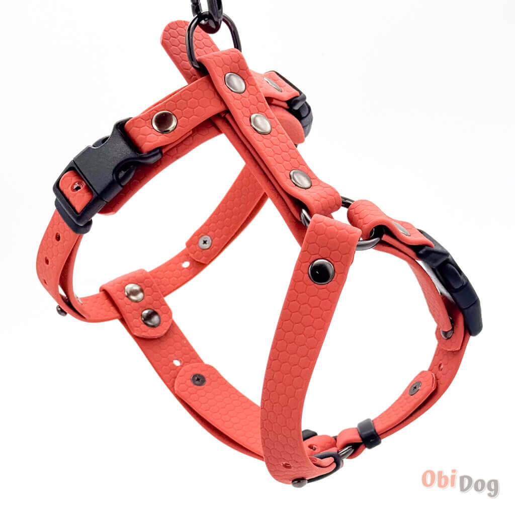 Waterproof and ergonomic Hexa harness for dogs, featuring a durable and easy-to-clean biothane design in orange.