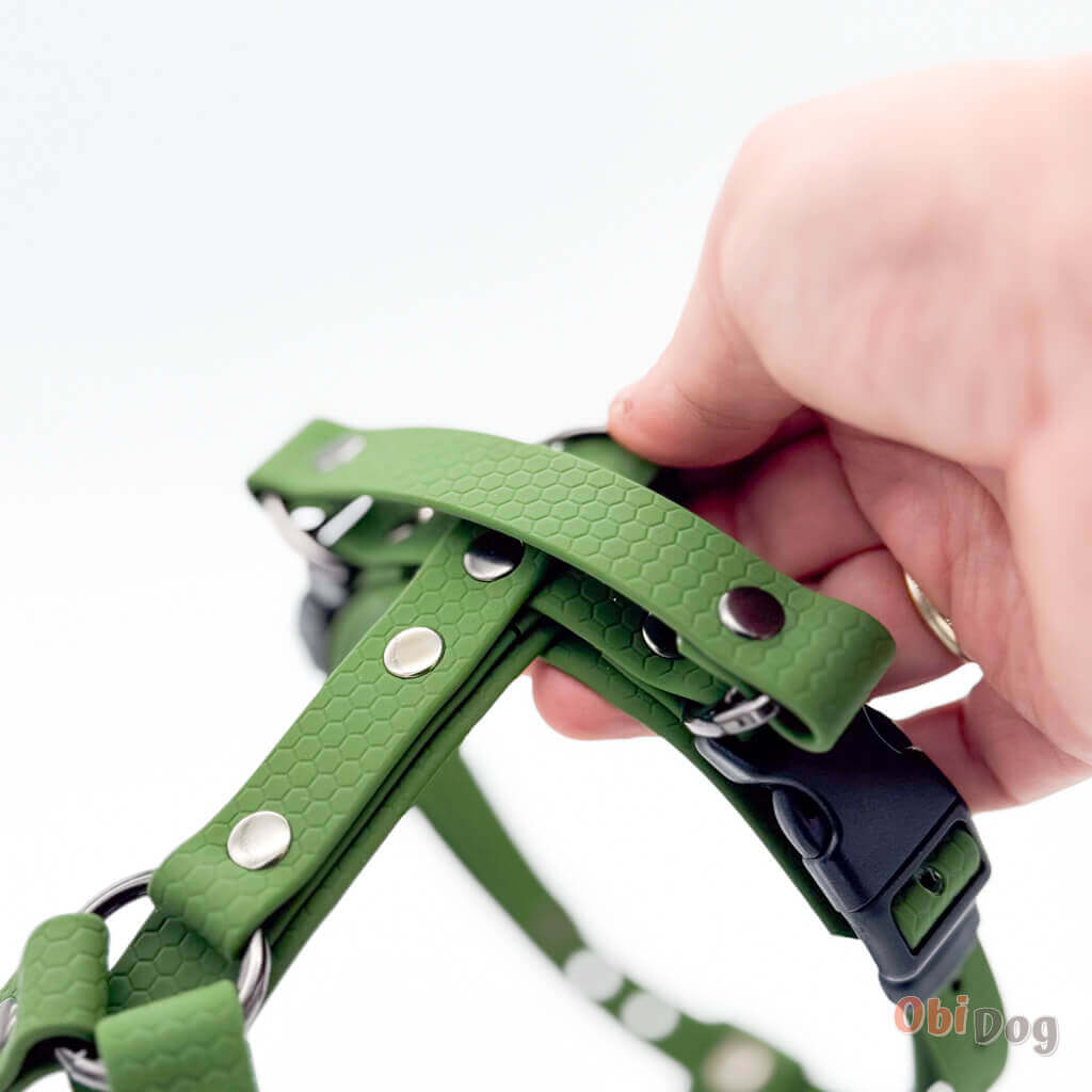 Green Hexa dog harness with ergonomic design and durable biothane material, ideal for active dogs.