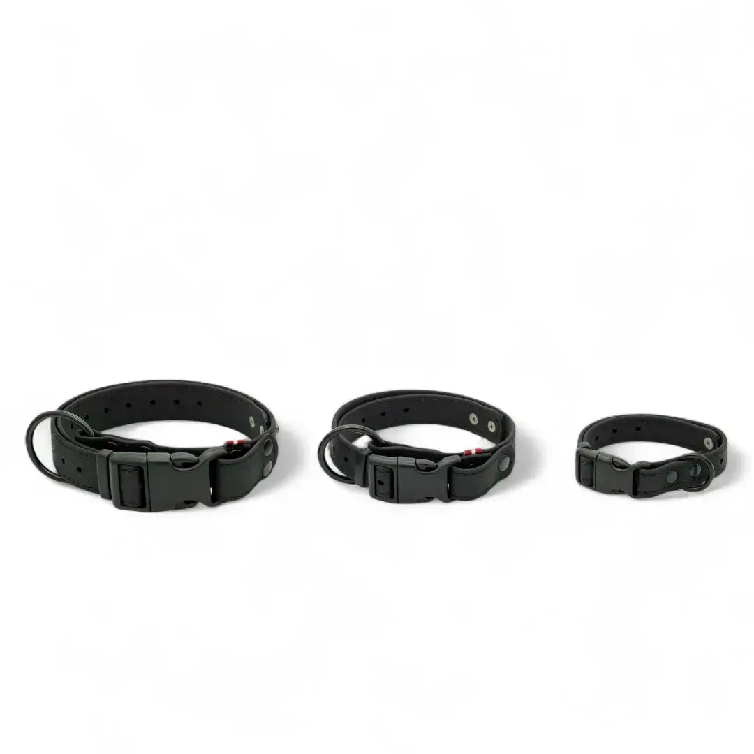 EasyFit waterproof collar for dogs