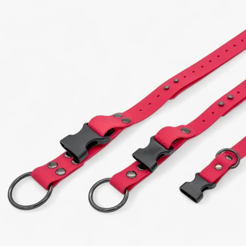 Hexa veekindel kaelarihm koertele