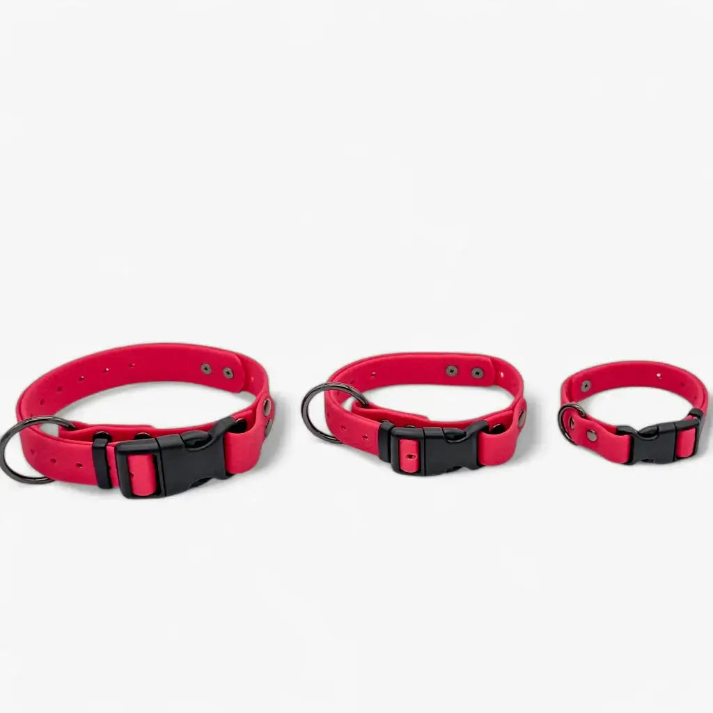 Hexa veekindel kaelarihm koertele