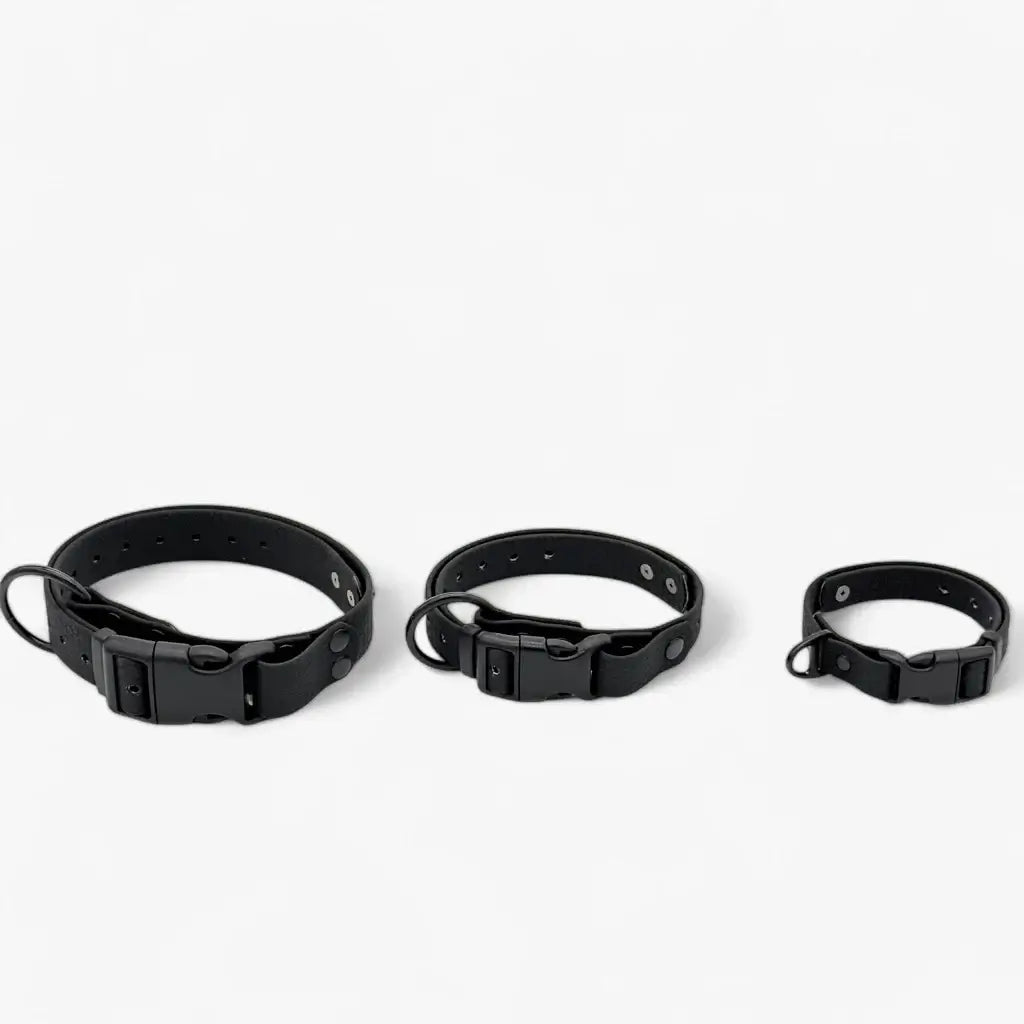 Hexa waterproof neck strap for dogs