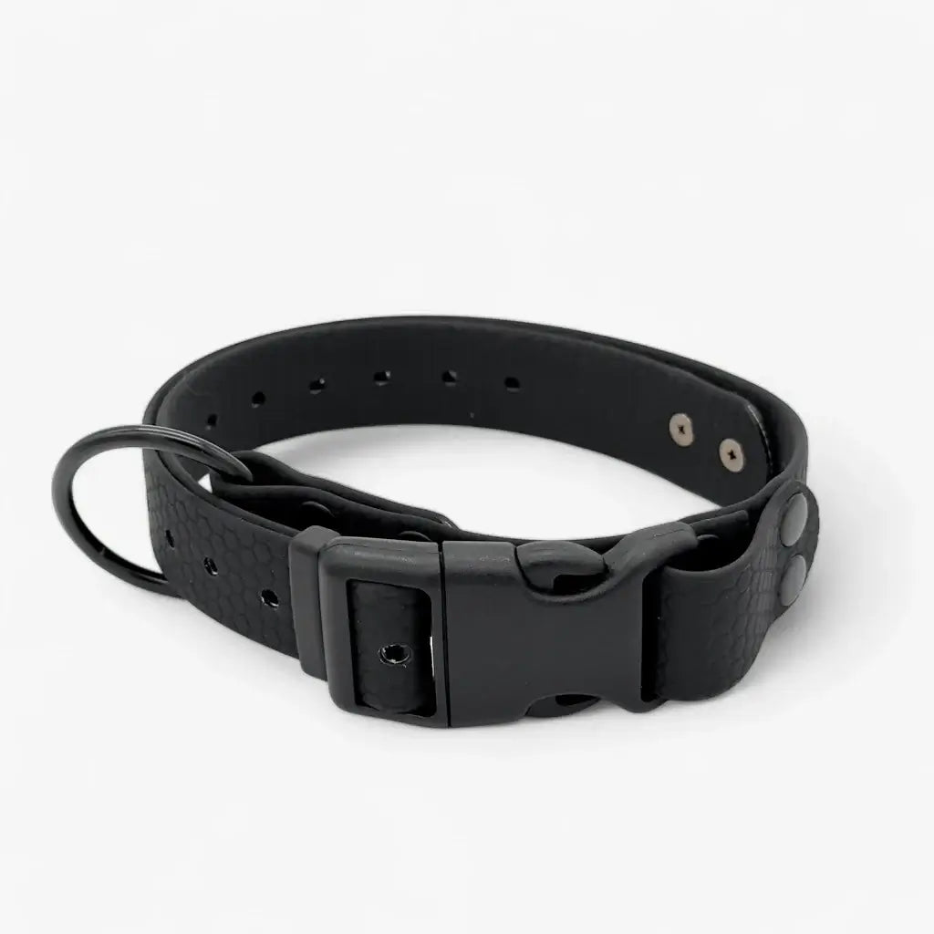 Hexa waterproof neck strap for dogs