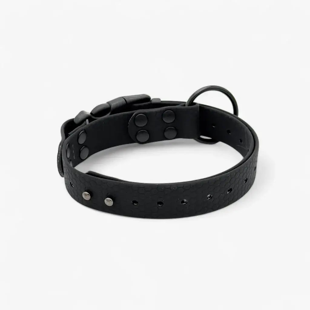 Hexa waterproof neck strap for dogs
