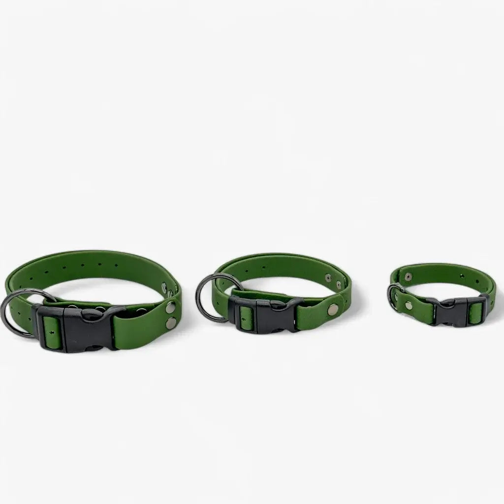 Hexa veekindel kaelarihm koertele