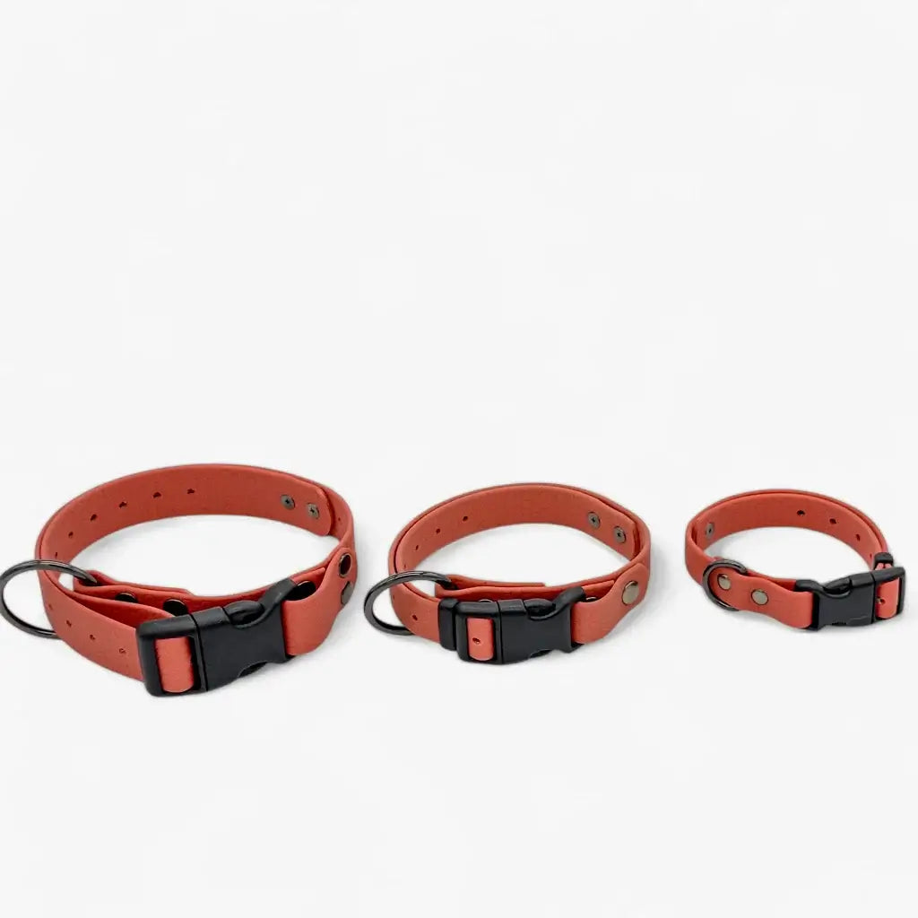 Hexa veekindel kaelarihm koertele