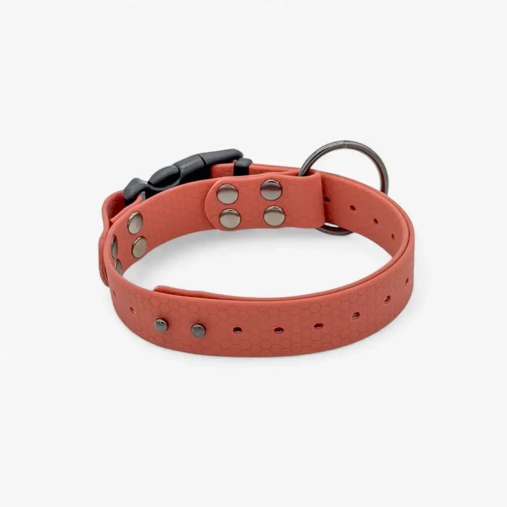 Hexa veekindel kaelarihm koertele