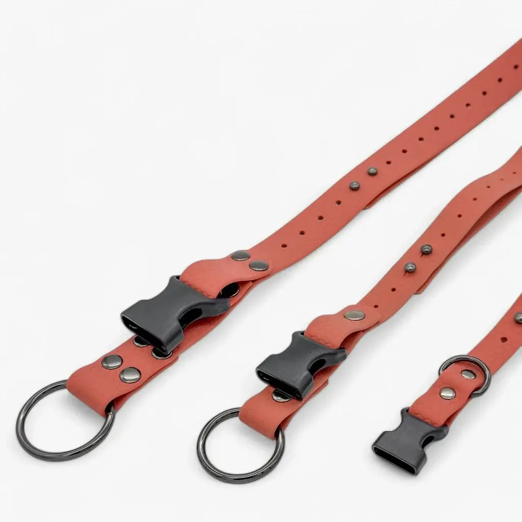 Hexa veekindel kaelarihm koertele