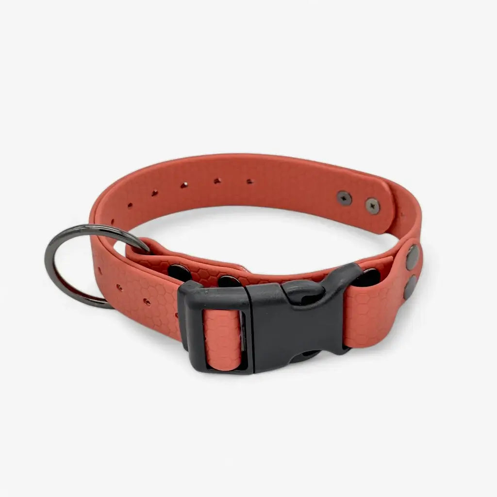 Hexa veekindel kaelarihm koertele