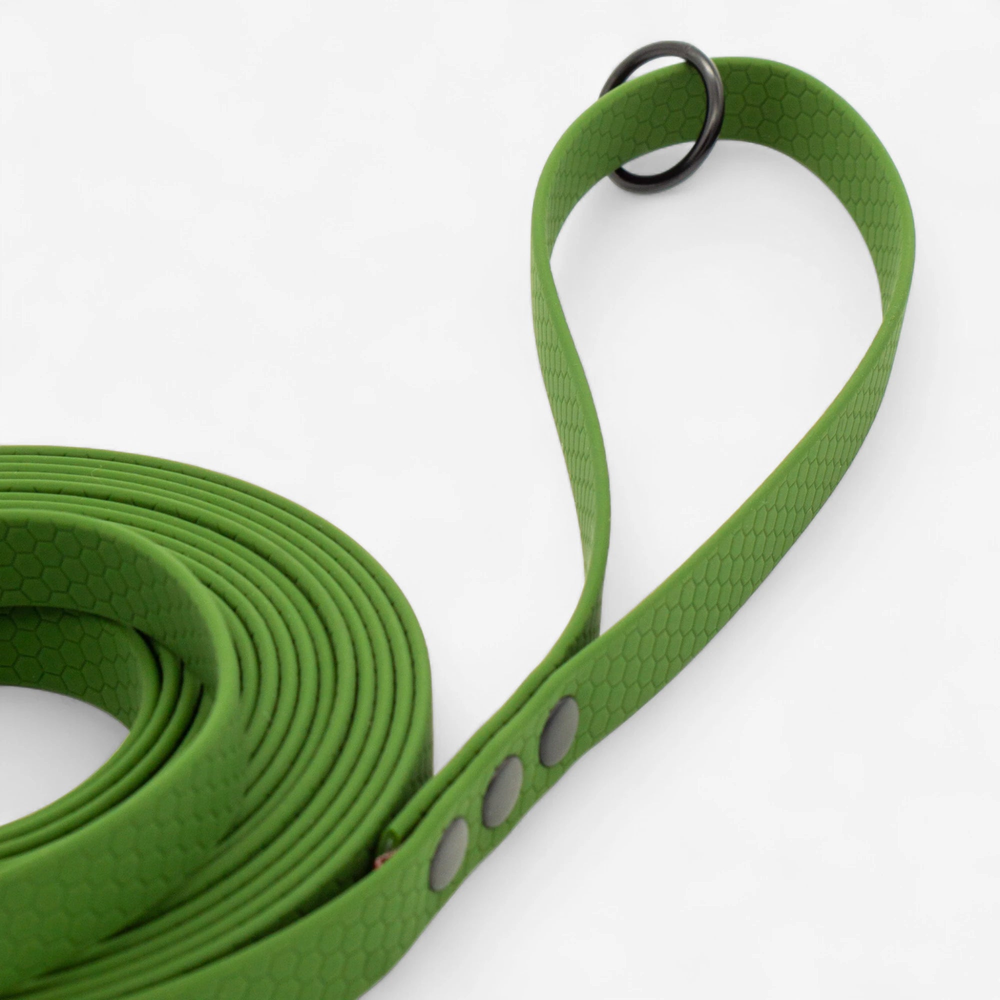Hexa classic leash - Olive