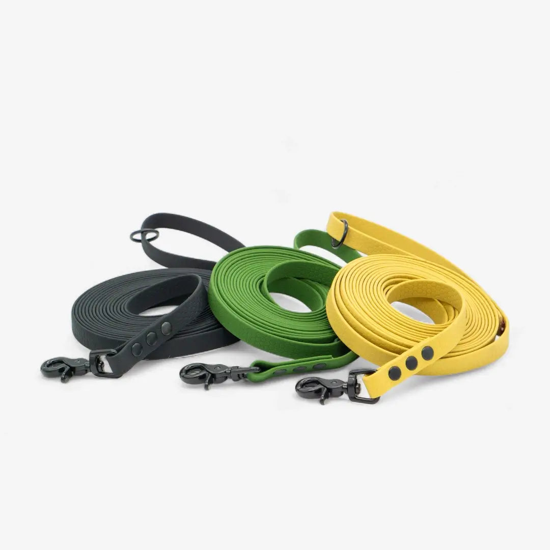 Hexa pastaigu pavada suņiem