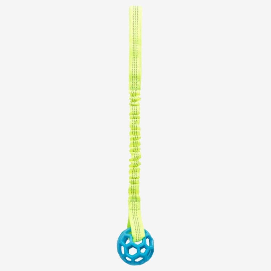 Toy for dogs - Trixie Bungee Tugger with Ball
