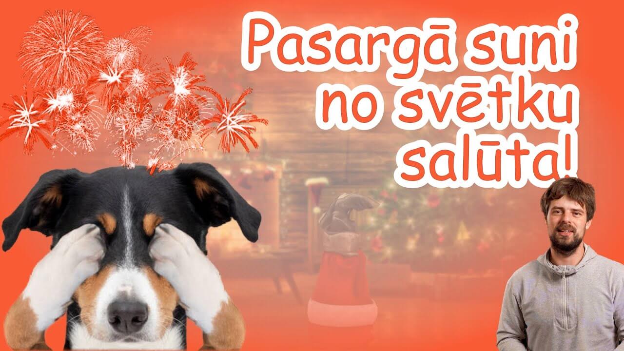 Esi atbildīgs, pasargā suni no svētku salūta! - ObiDog