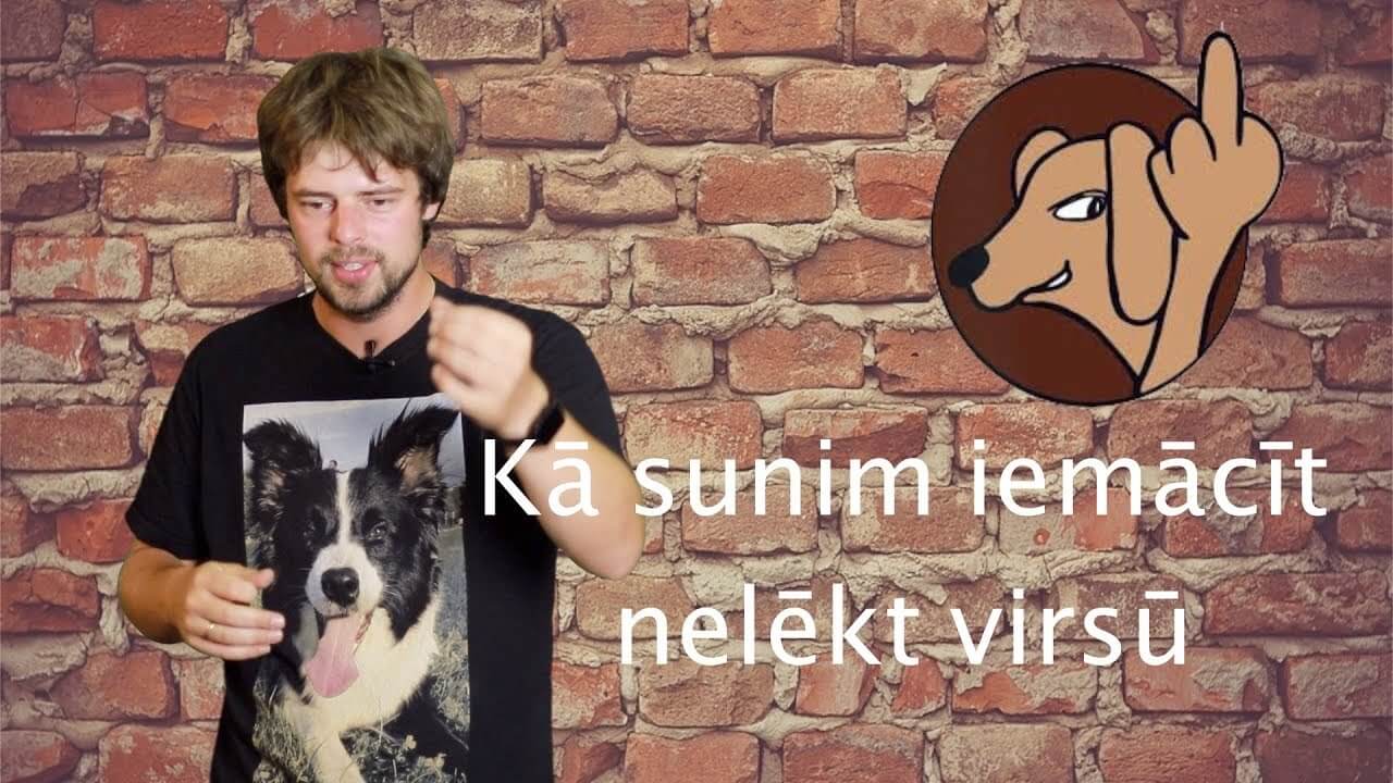 Kā sunim iemācīt nelegt virsū - ObiDog