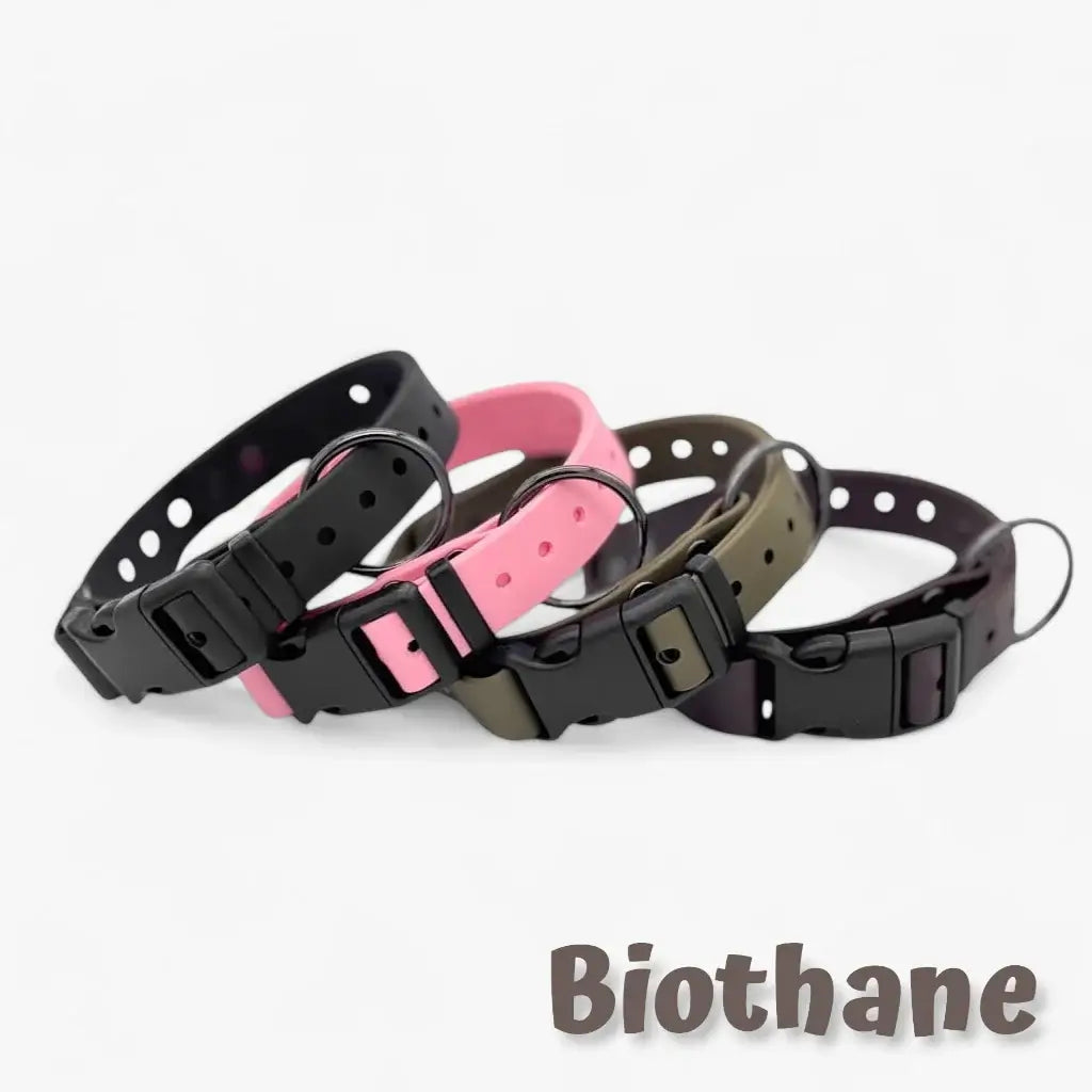 Biothane collar for dogs