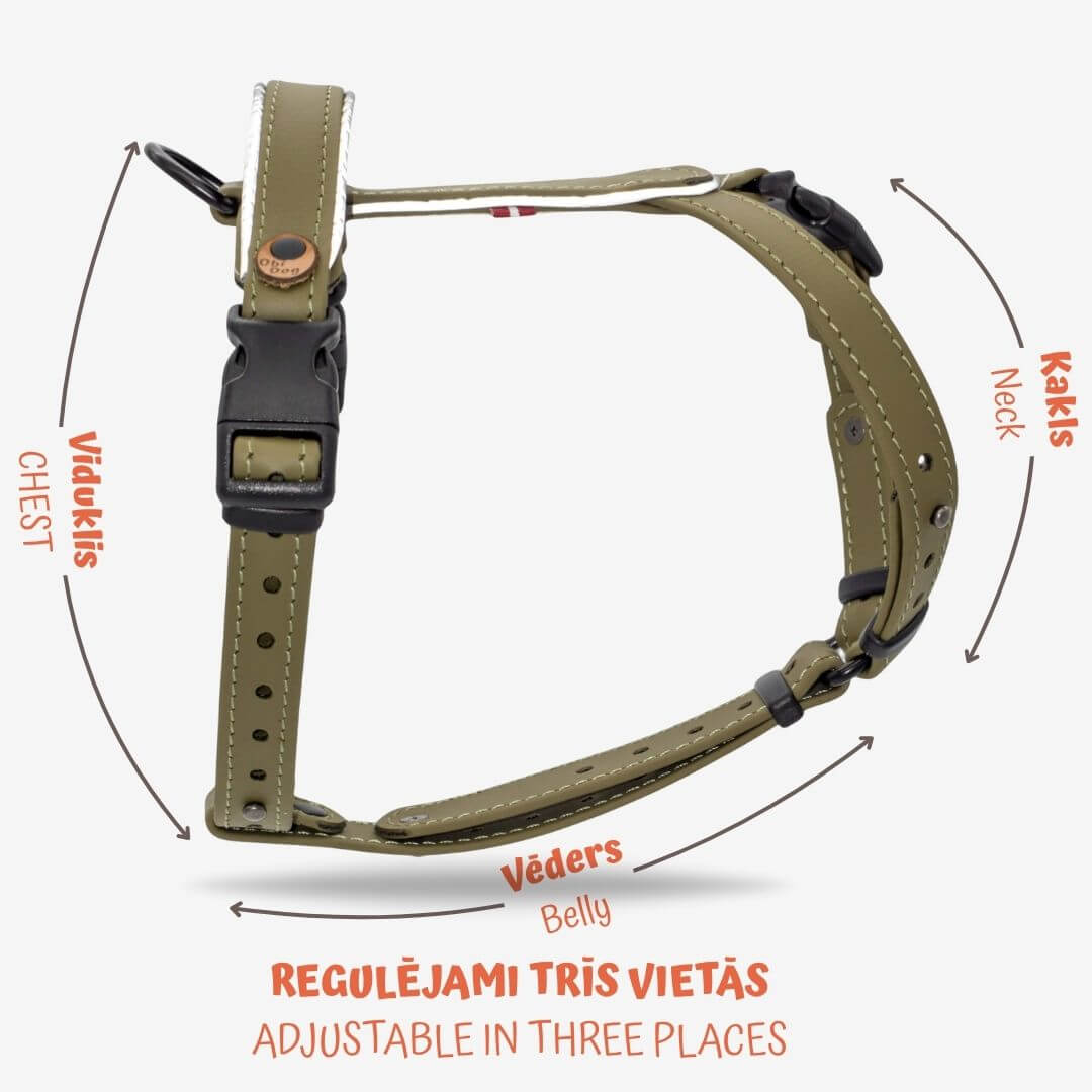 EasyFit Biothane Harness
