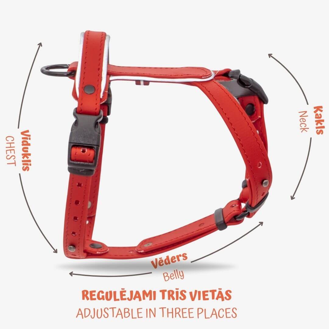 EasyFit Biothane Harness