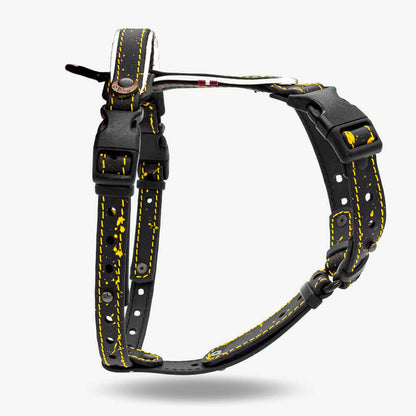 EasyFit Biothane Harness – Splash Edition