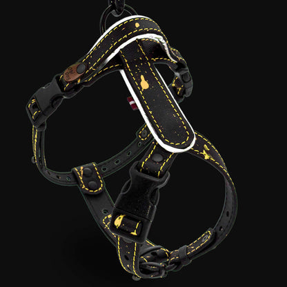 EasyFit Biothane Harness – Splash Edition