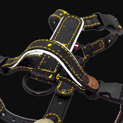 EasyFit Biothane Harness – Splash Edition