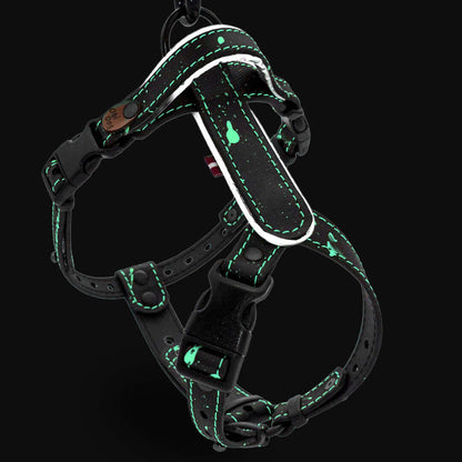 EasyFit Biothane Harness – Splash Edition