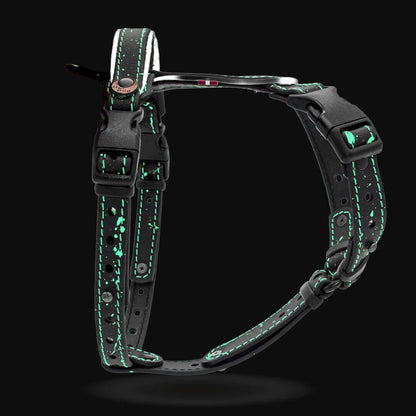 EasyFit Biothane Harness – Splash Edition