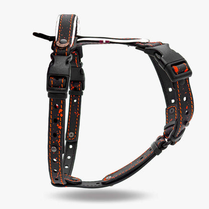 EasyFit Biothane Harness – Splash Edition