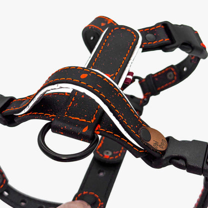 EasyFit Biothane Harness – Splash Edition