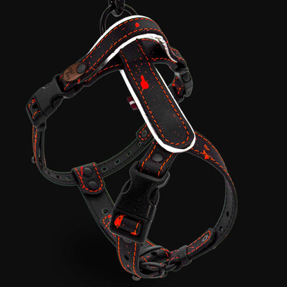 EasyFit Biothane Harness – Splash Edition