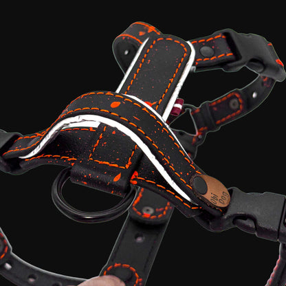 EasyFit Biothane Harness – Splash Edition