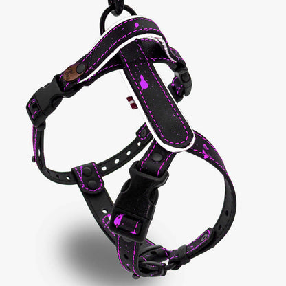 EasyFit Biothane Harness – Splash Edition