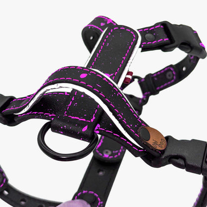 EasyFit Biothane Harness – Splash Edition