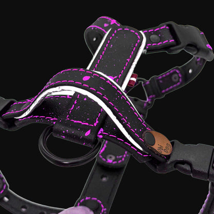 EasyFit Biothane Harness – Splash Edition