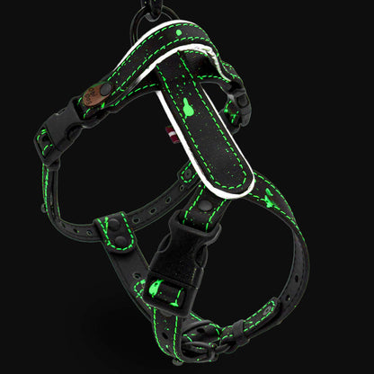 EasyFit Biothane Harness – Splash Edition