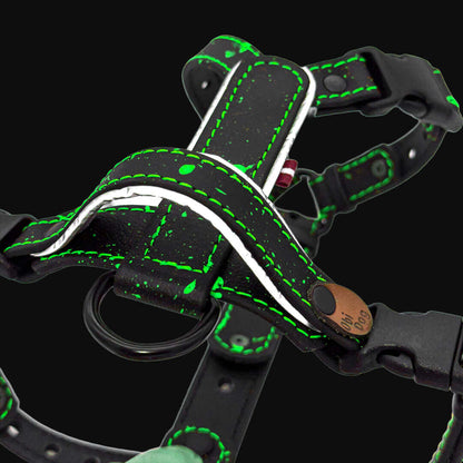 EasyFit Biothane Harness – Splash Edition