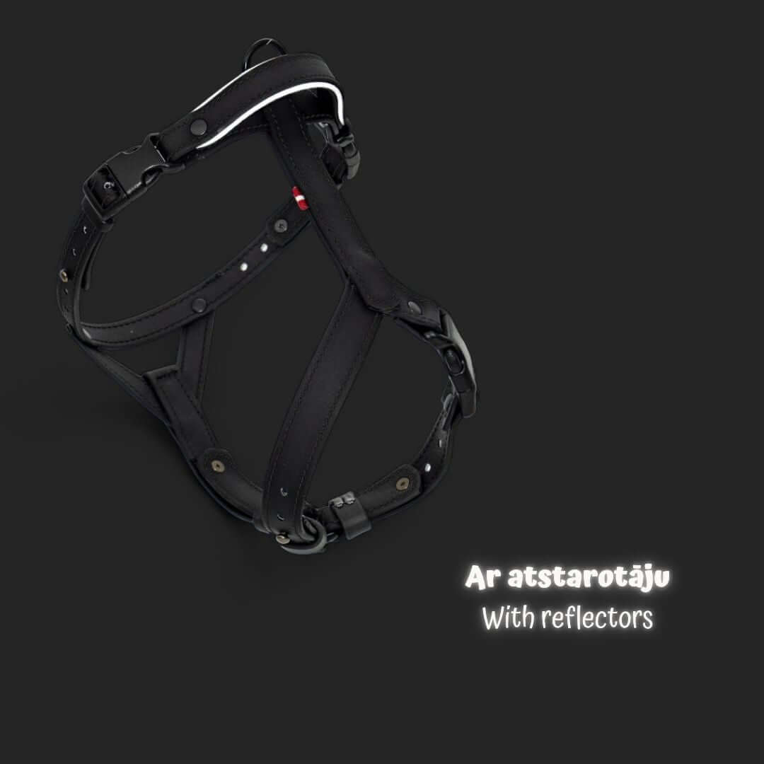 EasyFit Anatoomilised ja Veekindlad Rakmed koertele