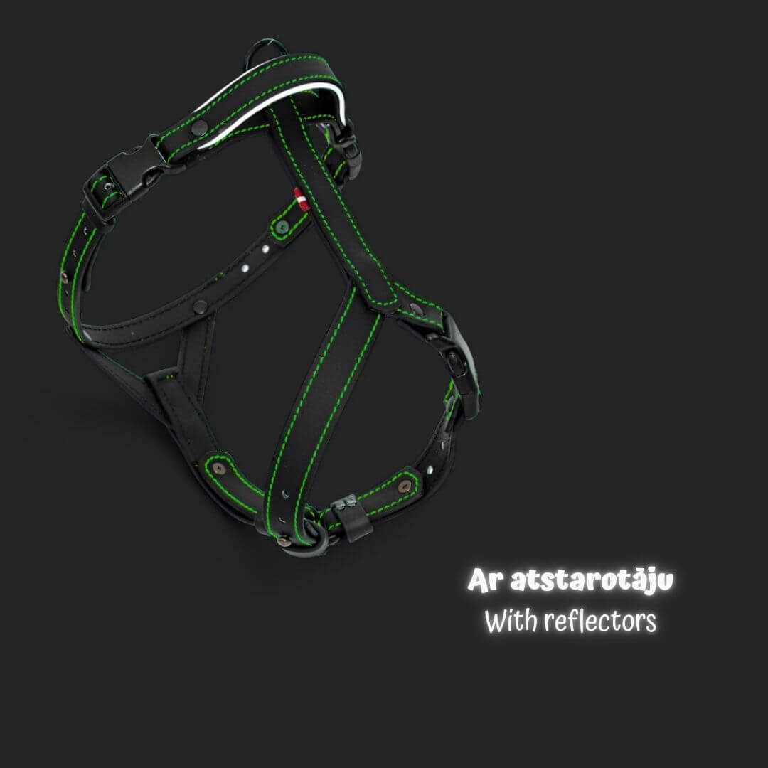 EasyFit Anatoomilised ja Veekindlad Rakmed koertele