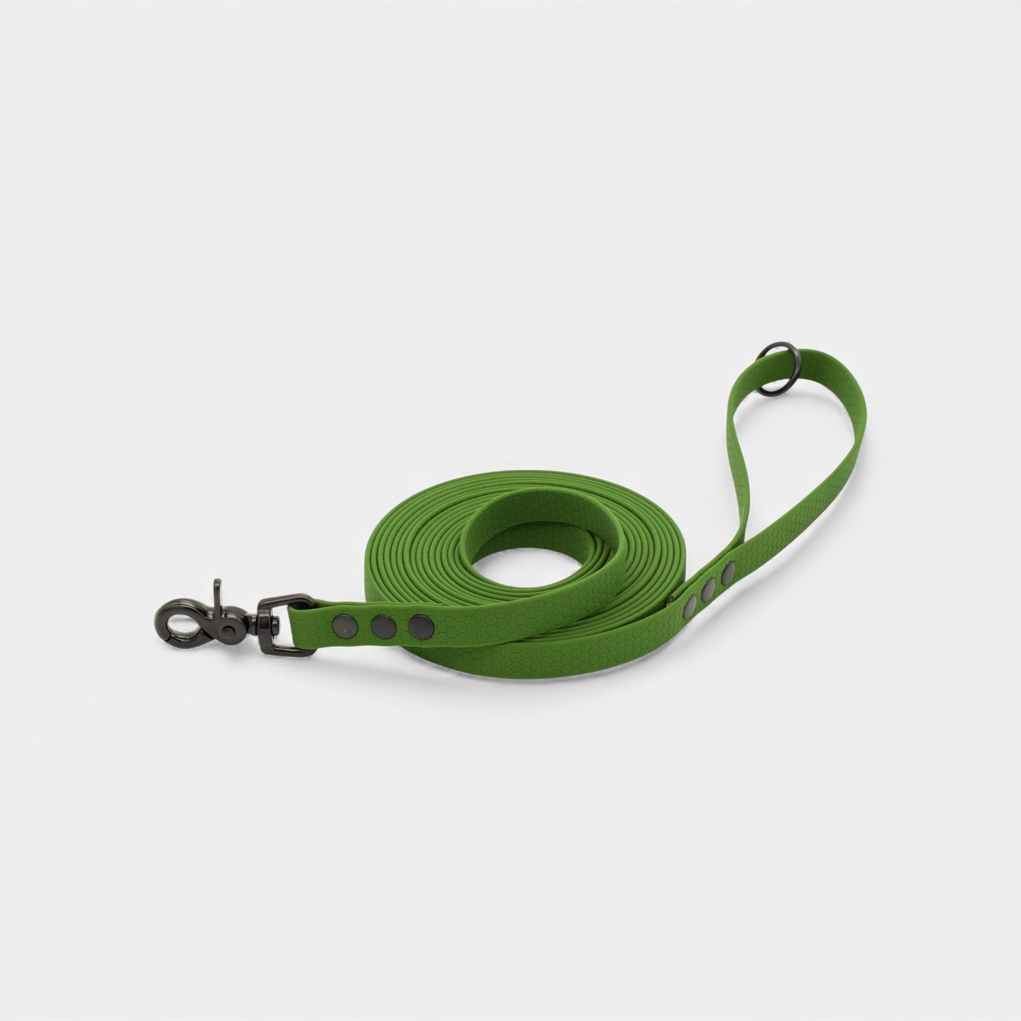 Hexa classic leash - Olive