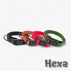 Hexa waterproof neck strap for dogs