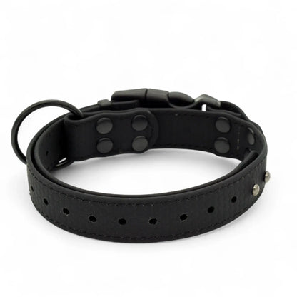 EasyFit waterproof collar for dogs